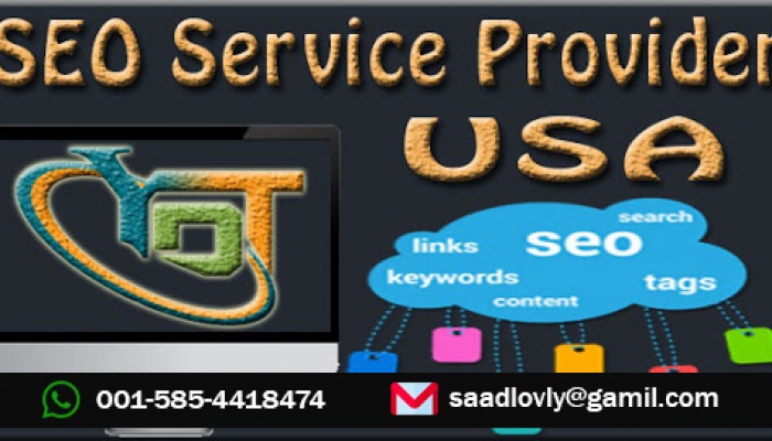 link building services usa